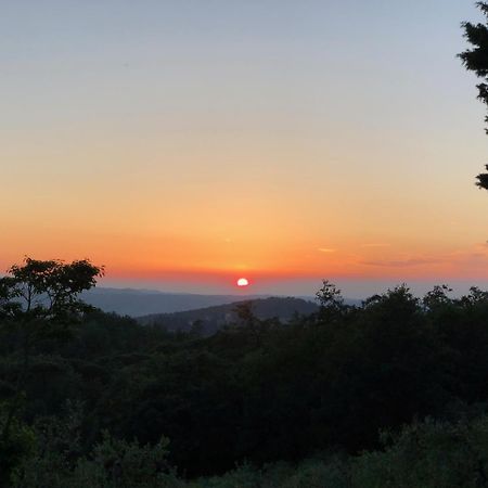Poggio Al Sole Villa Badia A Passigano ภายนอก รูปภาพ